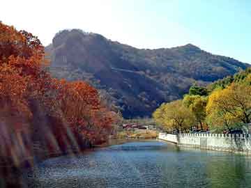 扎根一地  着眼全国  走向世界